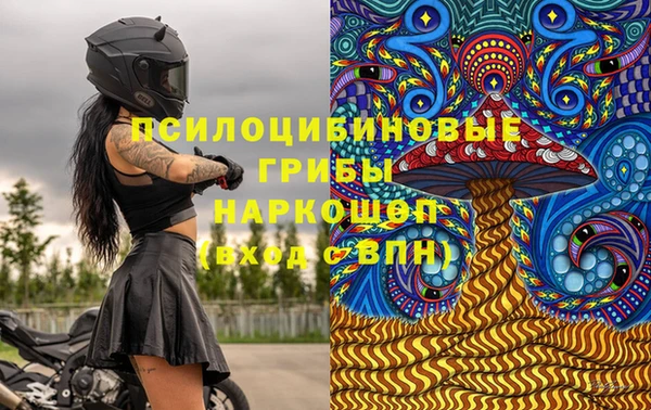 молекула духа Алзамай