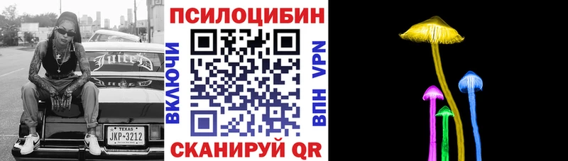 Псилоцибиновые грибы Psilocybine cubensis  Богородицк 