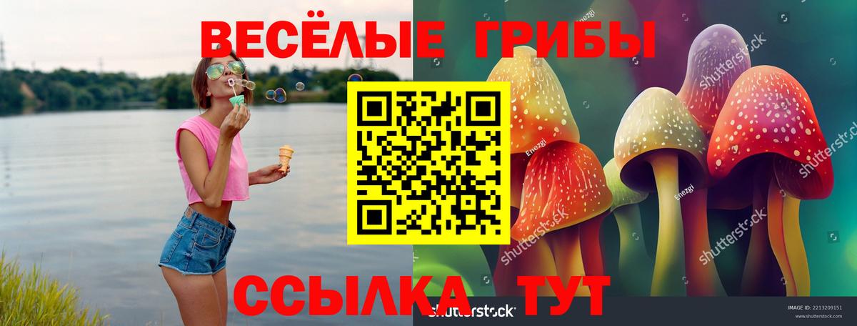 Богородицк  Галлюциногенные грибы Magic Shrooms  Вход с VPN 